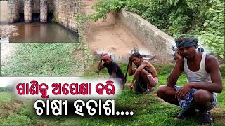 Rayagada କେନାଲର ଦୂରବସ୍ଥା ସାଙ୍ଗକୁ  ଡ୍ୟାମରେ ନାହିଁ ପାଣି