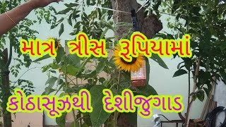 માત્ર ત્રીસ રૂપિયામાં કોઠાસૂઝથી આ દેશીજુગાડ બનાવો અને તમારા ઘરે વાવેલ વનસ્પતિનુ રક્ષણ કરો જુવો વિડિઓ