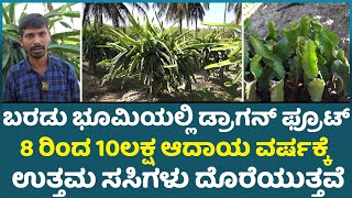 Dragon Fruit nursery in Karnataka ಬರಡು ಭೂಮಿಯಲ್ಲಿ ಡ್ರಾಗನ್ ಫ್ರೂಟ್ 8ರಿಂದ10ಲಕ್ಷಆದಾಯರ್ಷಕ್ಕೆ