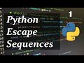 Python Escape Sequences Simplified: Represent Special Characters | ByteAdmin