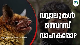 ബാറ്റ് വുമണ്‍’ പഠനം നടത്തുമ്പോൾ | Virus | China