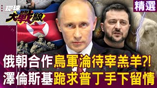 Zelensky begs Putin for mercy? North Korea's Storm Troopers aid Russia!