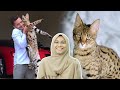 Apa Baka Kucing Ajaib Aliff Syukri?