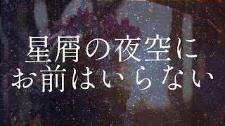 星屑の夜空にお前はいらない　初音ミク。