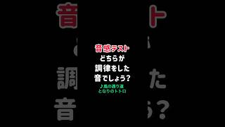 【音感テストVol.63】どちらが調律した音？となりのトトロ 風の通り道