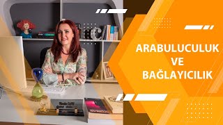 Arabuluculuk ve Bağlayıcılık