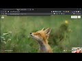 Creating a Flask App using PythonAnywhere Pt 1