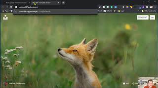 Creating a Flask App using PythonAnywhere Pt 1