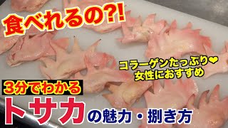 【食べれるの?!】鶏のトサカの捌き方