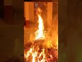 kandanar kelan theyyam dangerous fire jump by theyyam തീയിൽ ചാടുന്ന കണ്ഠനാർ കേളൻ