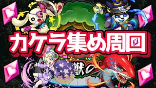 モンスト　新コラボクエスト　守護獣の森