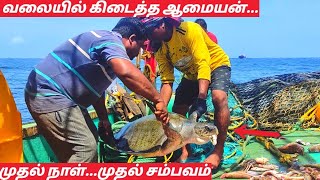 முதல் வலையிலேயே உயிரோடு பிடிபட்ட அபூர்வ ஆமை.... | Sea Style Tamil