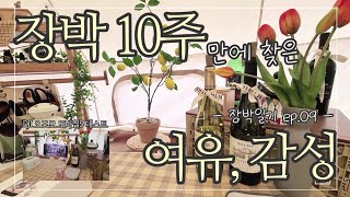 오왠캠핑 | 장박일기 ep.09 10주차에 드디어 찾은 장박 감성캠핑의 여유♡ | DJI 오즈모 모바일5 언박싱 레몬트리 플렌테리어 캠핑고래 안산본점