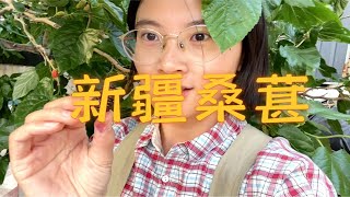 21世纪最后的美好：新疆桑葚