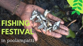 Poolampatti Kutti Kerala | Fishing Festival #Localfishing #MetturDam #Village #Travel #4k