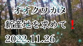 【クワガタ採集】オオクワガタ新産地を求めて❗