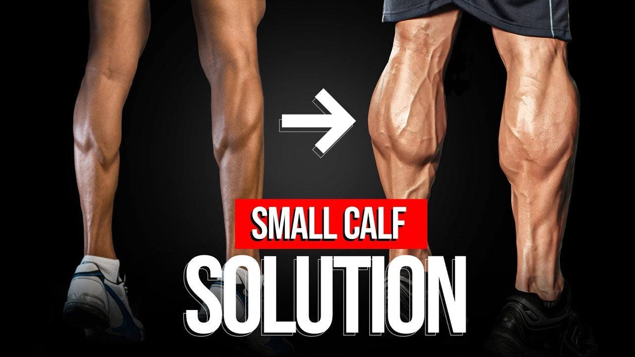 How To Get Bigger Calves The Best Training Program And Techniques