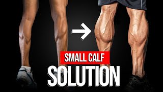 How To Get Bigger Calves: The Best Training Program And Techniques
