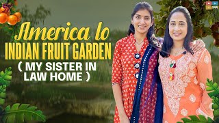 America lo Indian Fruit Garden  || Nandu's World || home tour ||Telugu Vlog || USA