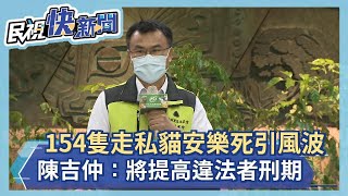 快新聞／154隻走私貓來自中國！　陳吉仲「保護台灣235萬犬貓」：將提高違法者刑期－民視新聞