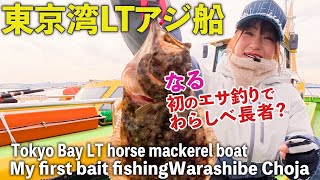 Japanese Anglers Catch Horse Mackerel in Tokyo Bay and Fry Them at Home