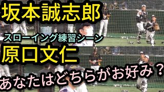 【原口文仁・坂本誠志郎】 あなたはどちらが好み？スローイング練習シーン 2021年8月17日 横浜DeNAベイスターズ対阪神タイガース