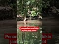 ada buaya besar yang bikin gemeteran saat mancing ikan gabus