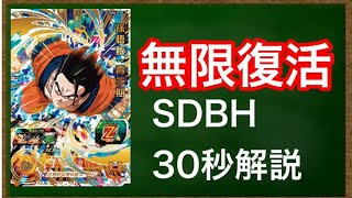 【復活】BM6-019 孫悟飯:青年期 をさっくり紹介【スーパードラゴンボールヒーローズ】