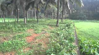 LAND FOR SALE@ Pulaman In Kollam