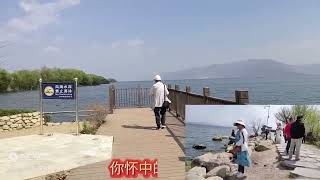 洱海位于大理古城东侧苍山角下，湖泊蔚蓝…是大理四大名景之一。