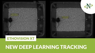 Optimal body point detection in rodent video tracking: Deep Learning technology in EthoVision XT 16