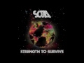 soja mentality