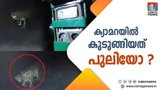 വന്യ ജീവികളുടെ സാന്നിദ്യം തിരിച്ചറിയാൻ സ്ഥാപിച്ച ക്യാമറ പരിശോധിച്ചപ്പോൾ കണ്ട കാഴ്ച