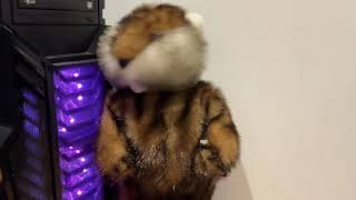 Gemmy: dancing caddyshack gopher