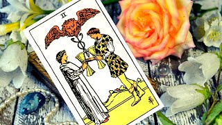 PISCES  🩵 THE TRUTH ABOUT WHY YOU MET THIS PERSON! TOTALLY UNEXPECTED MESSAGE! FEBRUARY 2025 TAROT