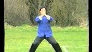 18 LOHAN - South Shaolin Form - Master Ji Jian-Cheng