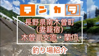 【長野県蘭川】妻籠宿の前に簡単アクセスで水のキレイな川があった　#テンカラ　#渓流釣り　#釣り場