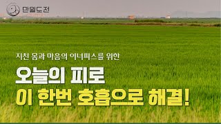 잘 자고 싶다면 꼭 들어보세요: 감사와 치유의 호흡 명상 | 자기 전 힐링 명상 루틴 | 만월도전TV 선도명상