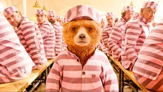 An innocent BEAR manages to RULE THE WORLD'S MOST BRUTAL PRISON in less than 24 HOURS - RECAP