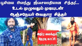 பூமியை பிளந்து ஜீவசமாதியான சித்தர் | உடல் முழுவதும் முடியுடன் ஆஞ்சநேயர் அவதார மேரு சுவாமிகள்