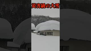 災害級の大雪！福島県桧原湖周辺の状況 #桧原湖 #大雪 #豪雪地帯