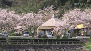 国東半島周遊 『並石ダム・2017春』