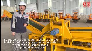 SGNJ Sugarcane Bud Cutting Machine farming tools