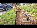 OVERGROWN Sidewalk Edge NEGLECTED For 50 YEARS Gets A FREE Makeover (Part 2)