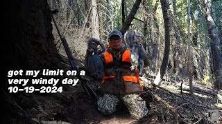 Ca Squirrel hunting with brother on a very windy day/ລ່າກະຮອກກັບນ້ອງຊາຍມື້ນີ້ລົມແຮງຂະນາດເລີຍ10-19-24