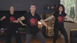 Tai Chi Fit for a Healthy Heart Excerpt Preview (YMAA) David-Dorian Ross