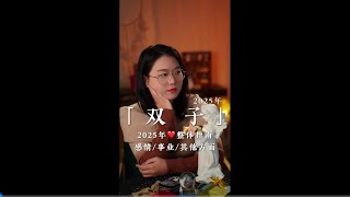 【低开高走的双子在2025会发生什么呢？】 ♊2025双子整体指南#双子座 #星座 #2025 #感情 #工作