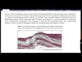 L01 Introduction to Petroleum and Energy Geomechanics