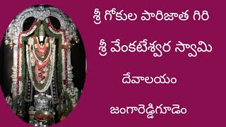 శ్రీ గోకుల పారిజాత గిరి శ్రీ వేంకటేశ్వర స్వామి టెంపుల్ ఎలా ఉంటుందో చూపిస్తాను రండి