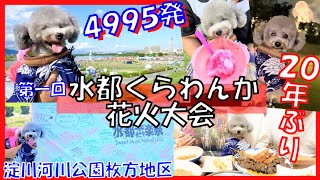 水都くらわんか花火大会に愛犬と行ってきた🐶大阪府高槻 枚方 注意＊犬は花火の音を怖がるので遠くから見える場所を探したよ💕【犬とお出かけ】